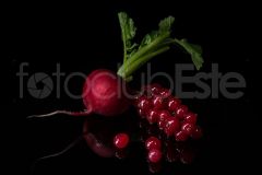 55_ravanello-ribes_7506882-light